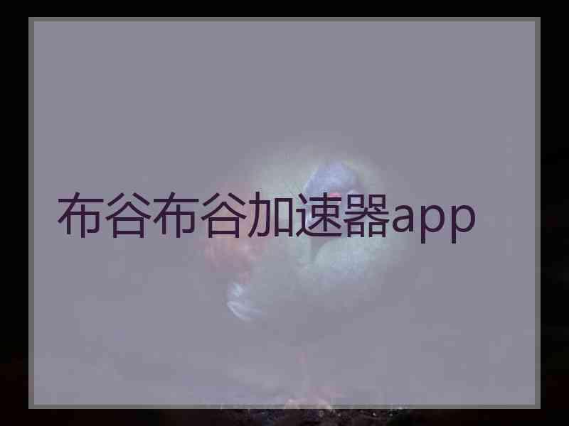 布谷布谷加速器app