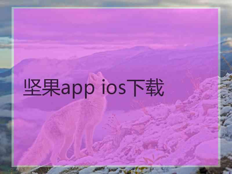 坚果app ios下载