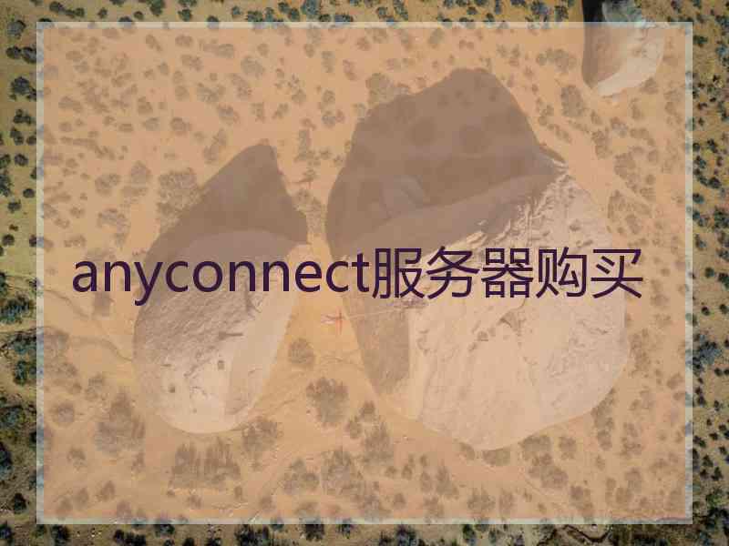 anyconnect服务器购买
