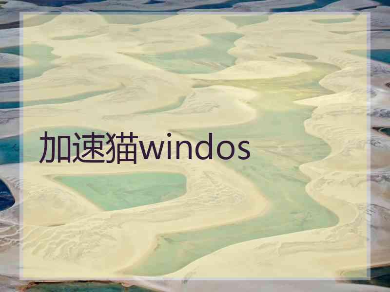 加速猫windos