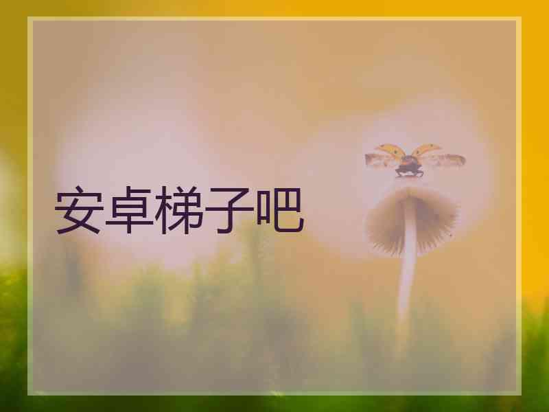 安卓梯子吧