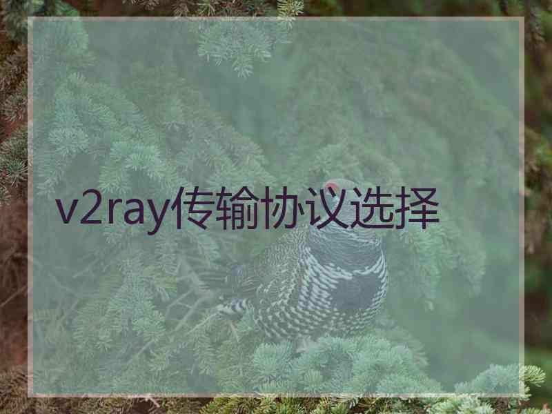 v2ray传输协议选择