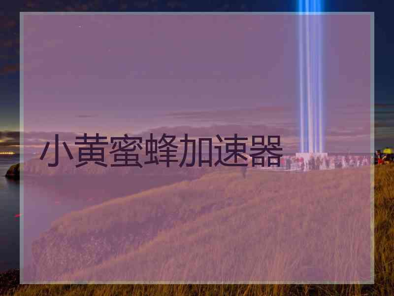 小黄蜜蜂加速器