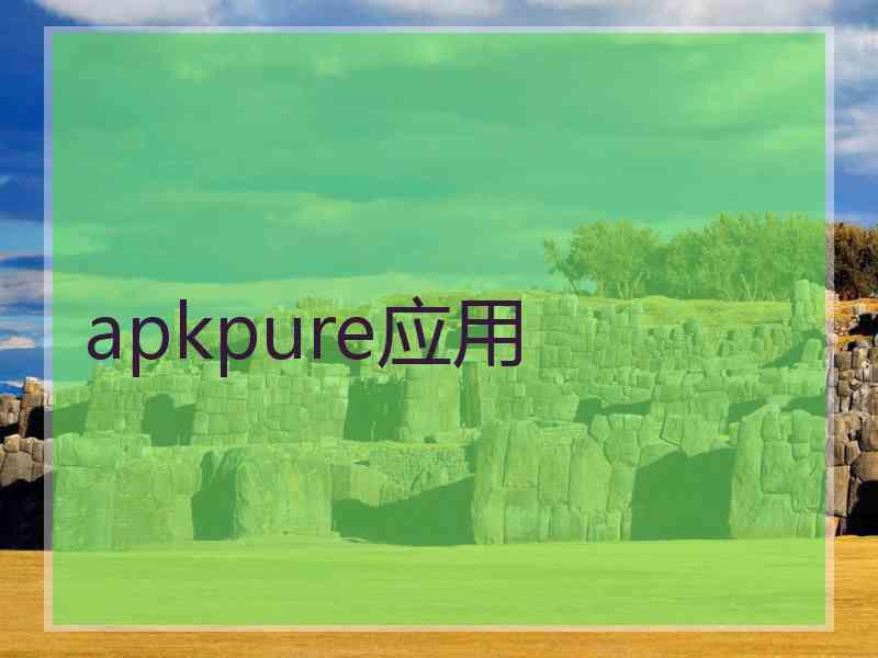 apkpure应用