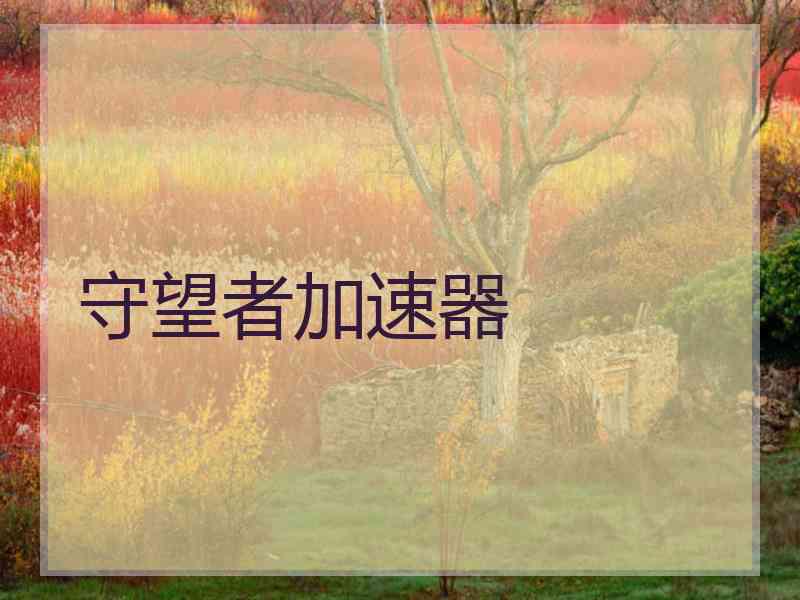 守望者加速器