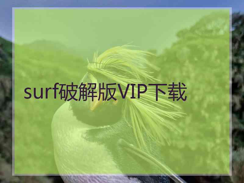 surf破解版VIP下载