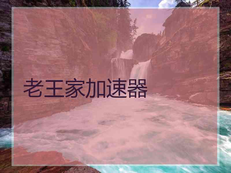 老王家加速器