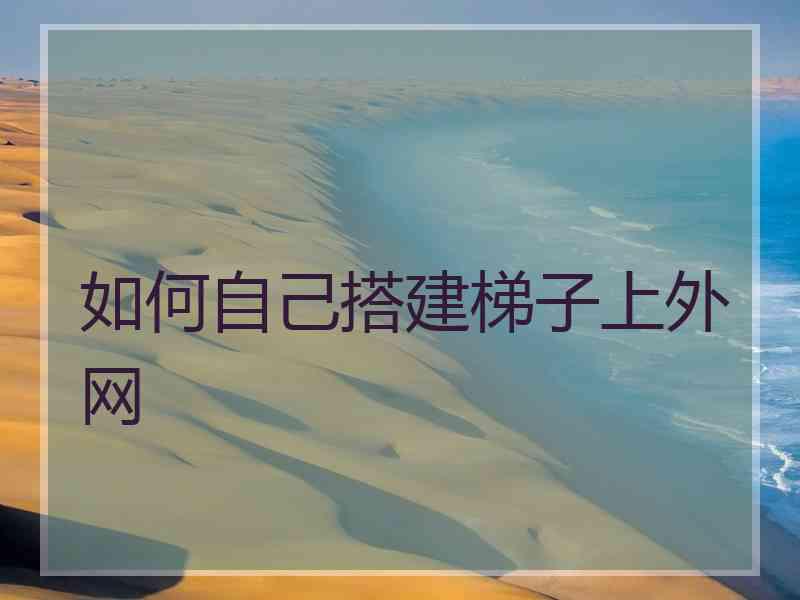 如何自己搭建梯子上外网