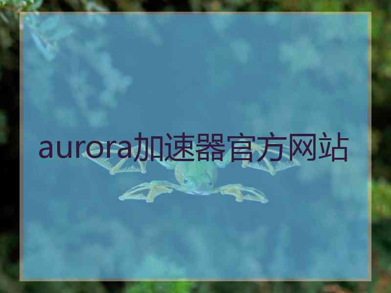 aurora加速器官方网站