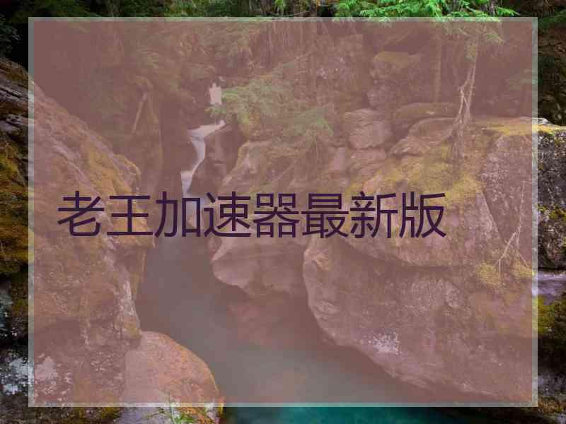 老王加速器最新版