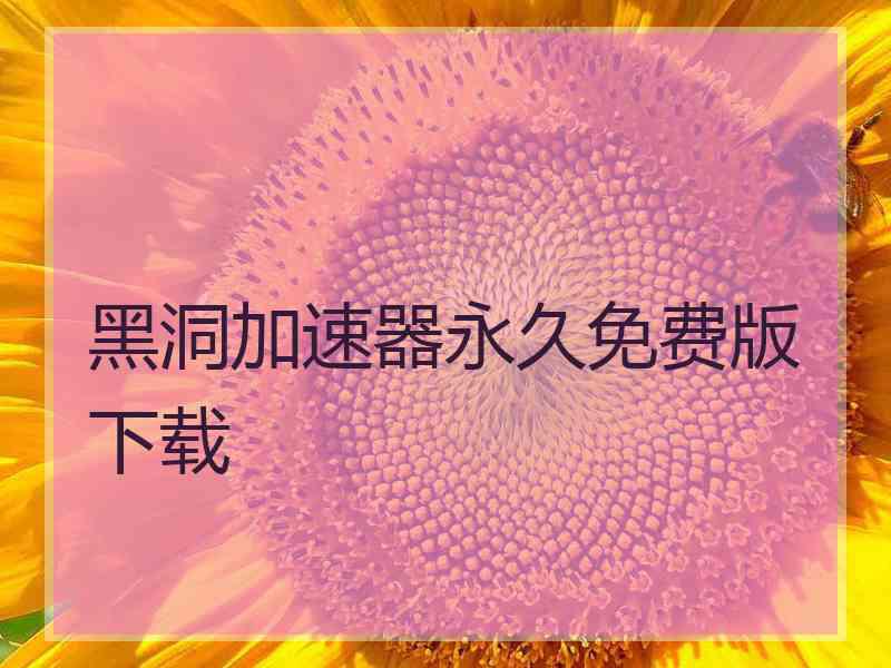 黑洞加速器永久免费版下载