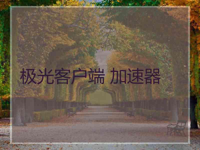 极光客户端 加速器