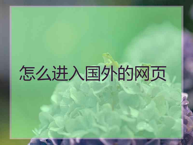 怎么进入国外的网页