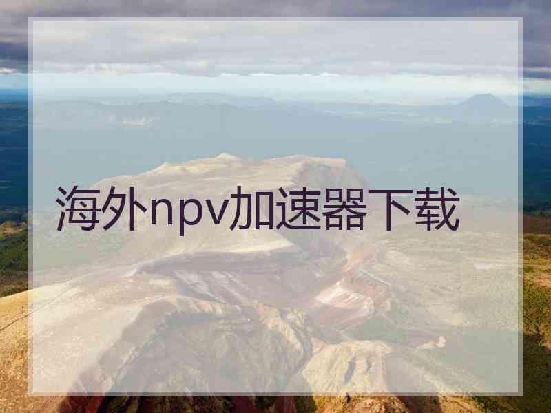 海外npv加速器下载