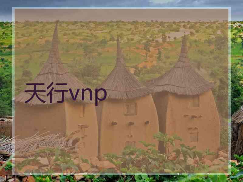 天行vnp