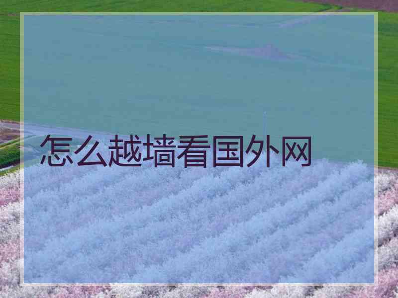 怎么越墙看国外网