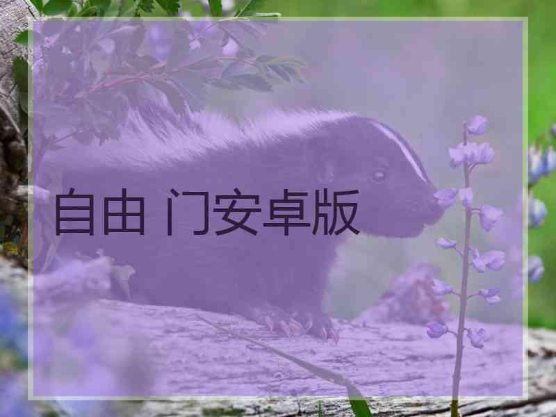 自由 门安卓版