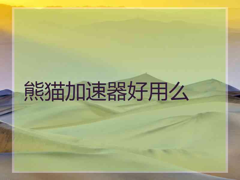熊猫加速器好用么