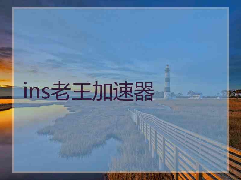 ins老王加速器