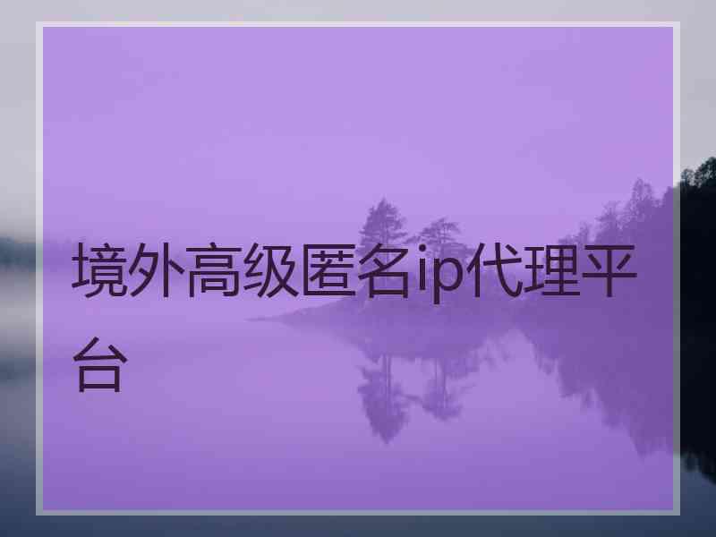 境外高级匿名ip代理平台
