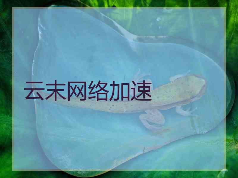 云末网络加速