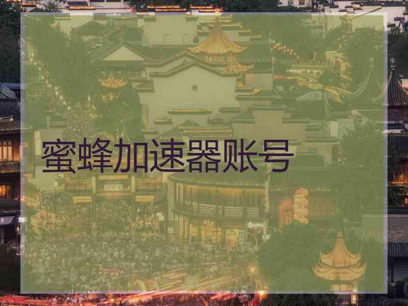 蜜蜂加速器账号