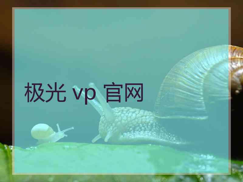 极光 vp 官网