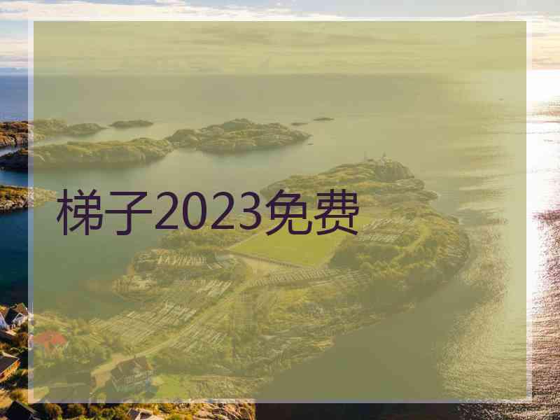 梯子2023免费