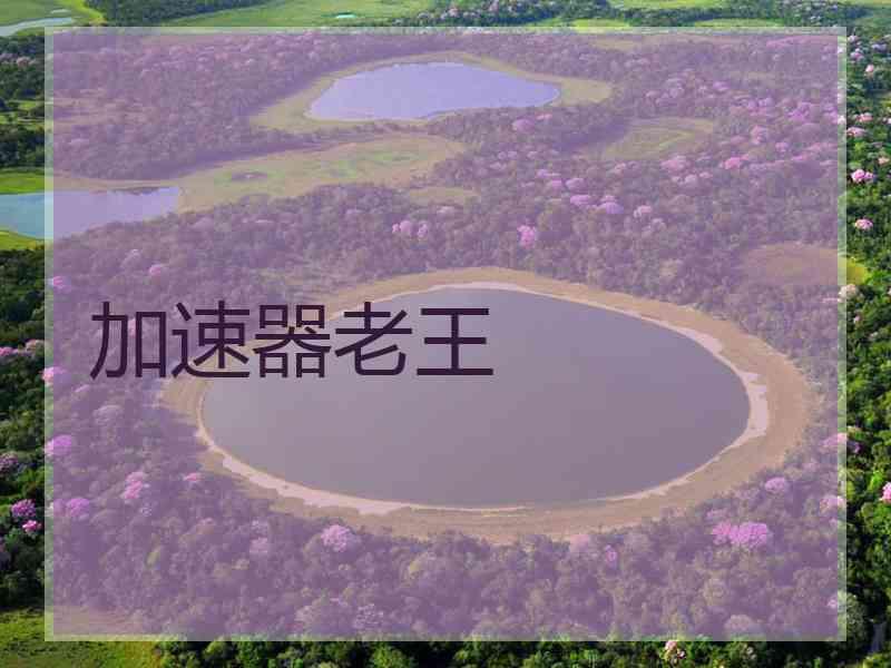 加速器老王