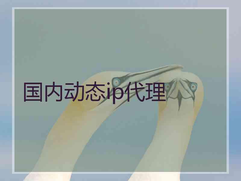 国内动态ip代理