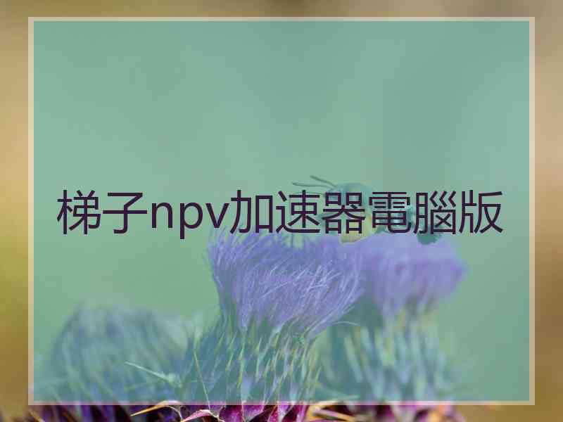 梯子npv加速器電腦版