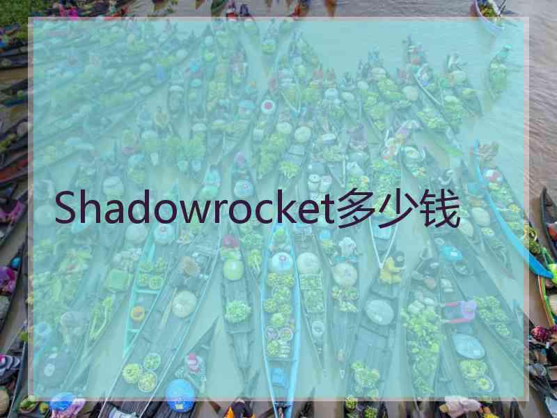 Shadowrocket多少钱