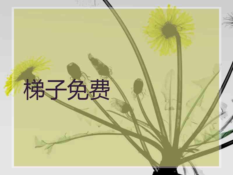 梯子免费