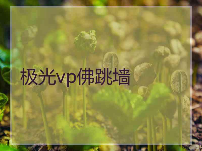 极光vp佛跳墙