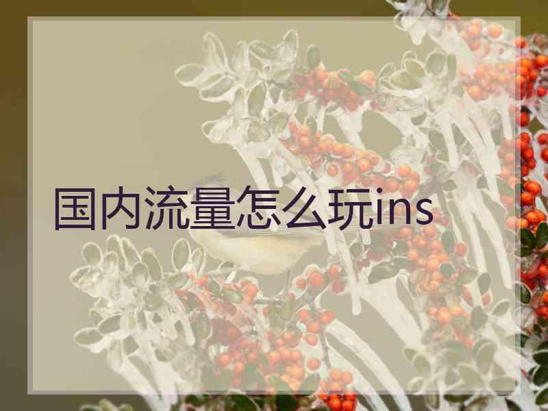 国内流量怎么玩ins