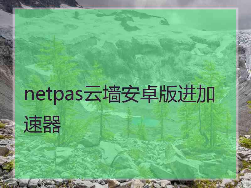 netpas云墙安卓版进加速器