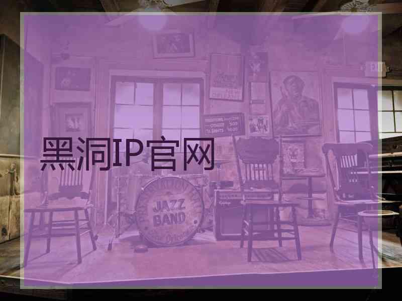 黑洞IP官网