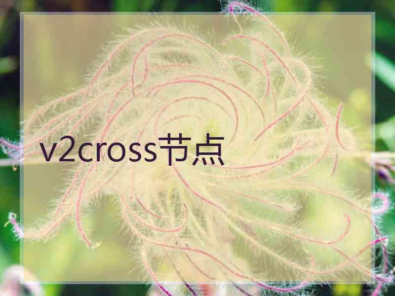 v2cross节点