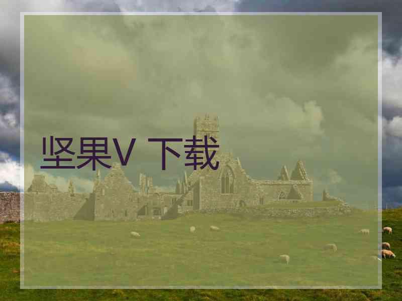坚果V 下载