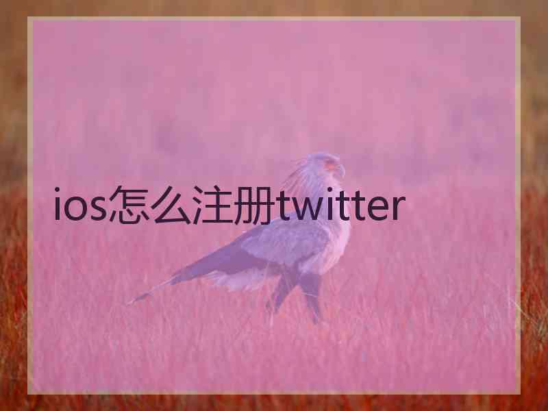 ios怎么注册twitter