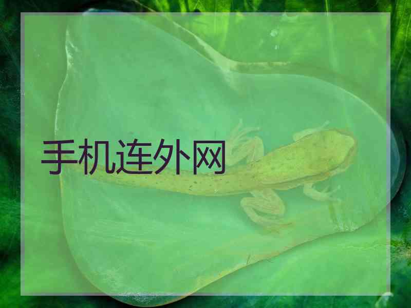 手机连外网