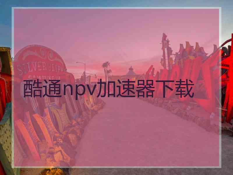 酷通npv加速器下载