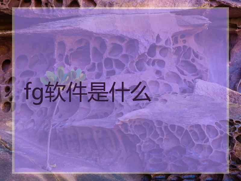 fg软件是什么