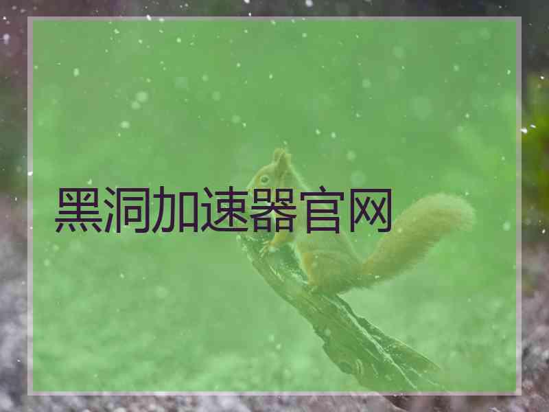 黑洞加速器官网