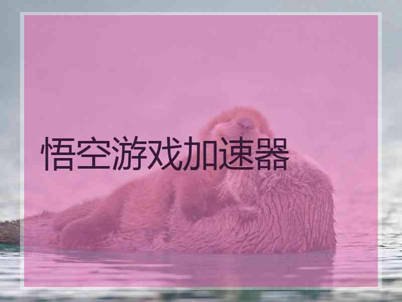 悟空游戏加速器