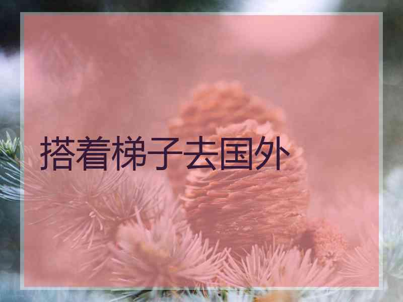 搭着梯子去国外