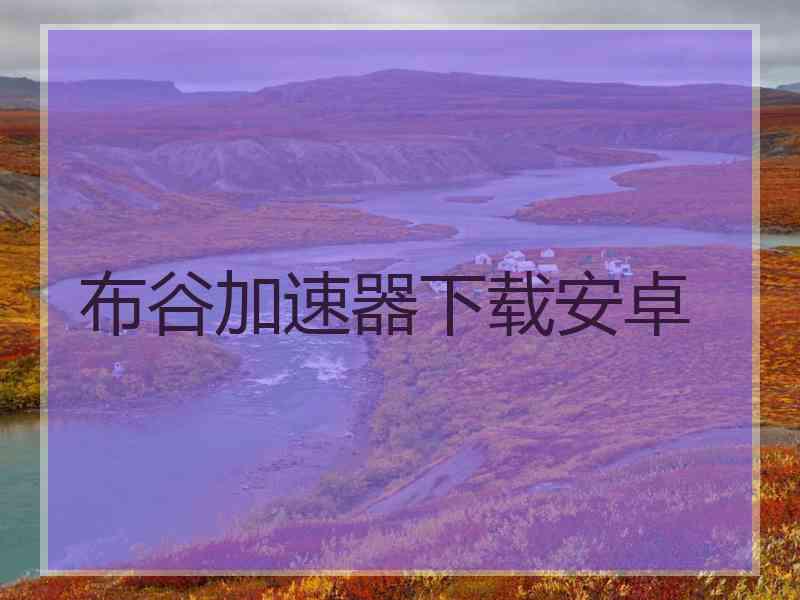 布谷加速器下载安卓