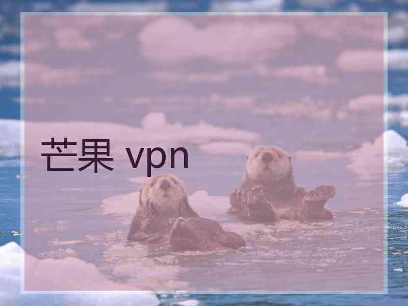 芒果 vpn