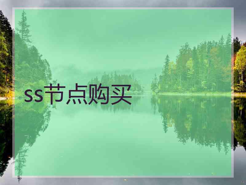 ss节点购买