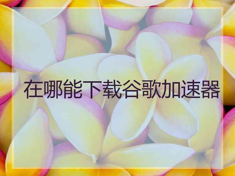 在哪能下载谷歌加速器